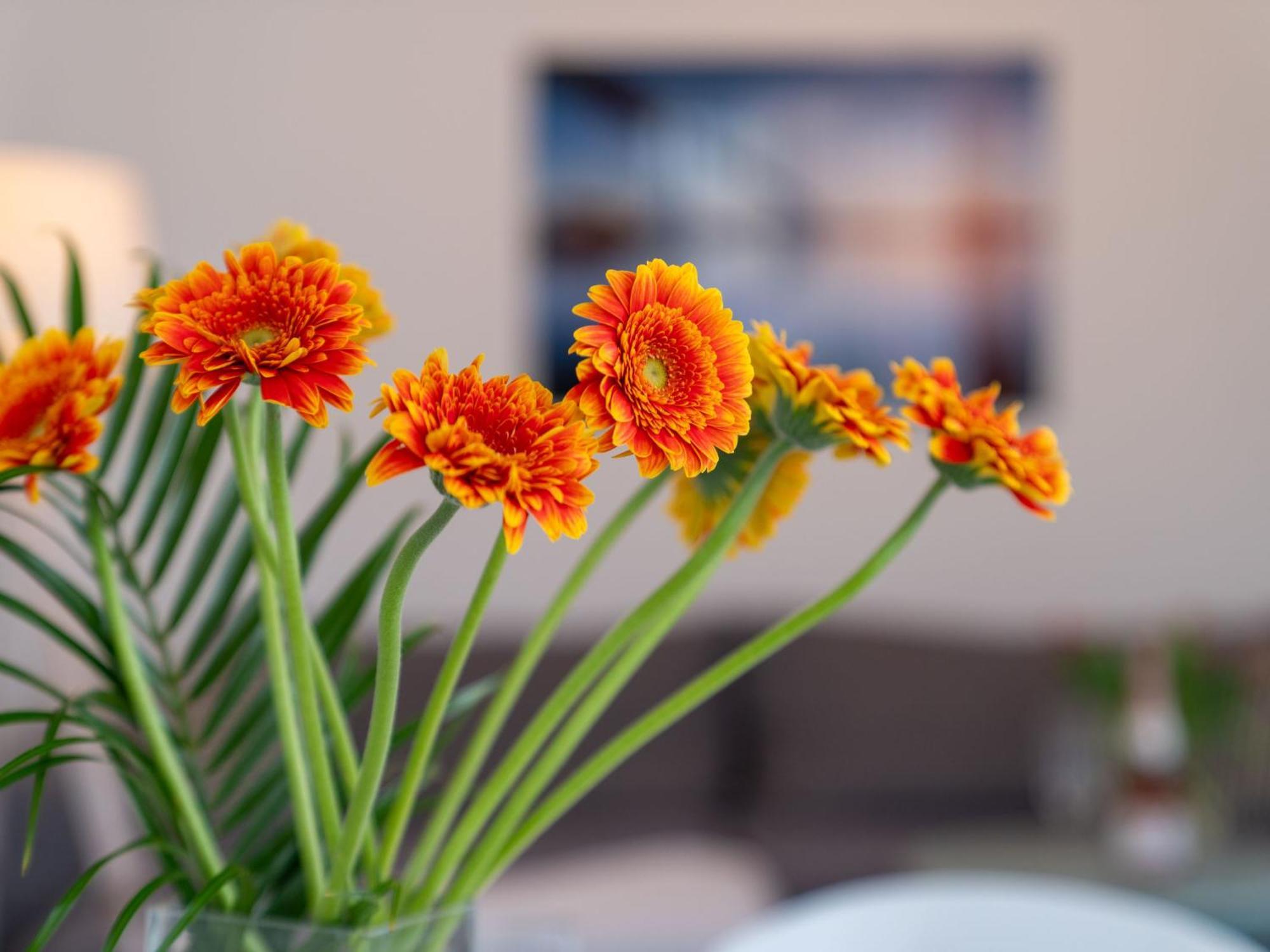 Apartment Stolzenfels-1 By Interhome Sellin  외부 사진